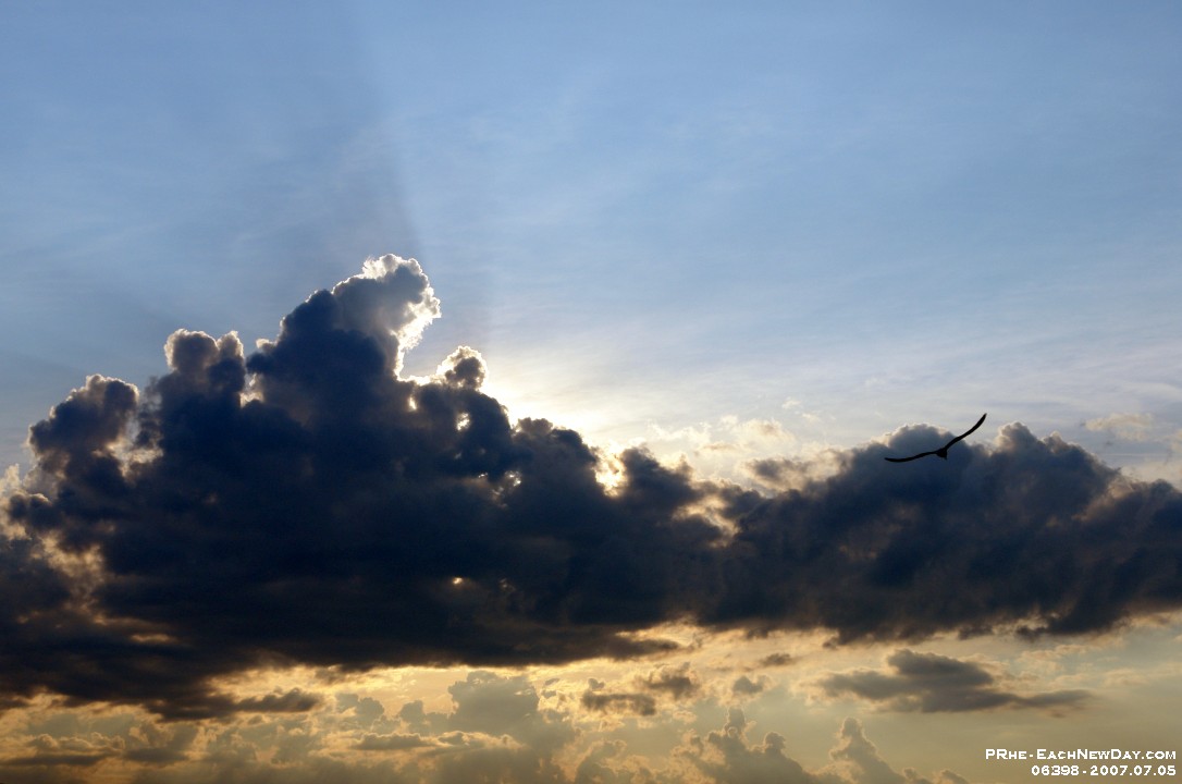 06398cls-C - Sunset, cloud - Seagull